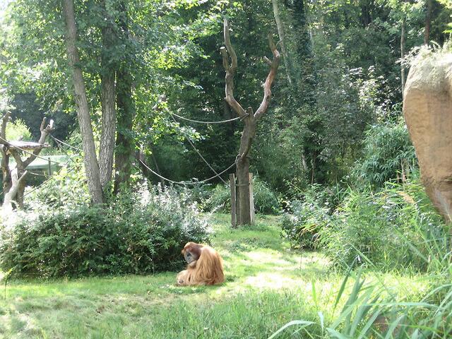 Zoo Leipzig