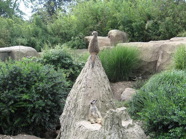 Zoo Leipzig