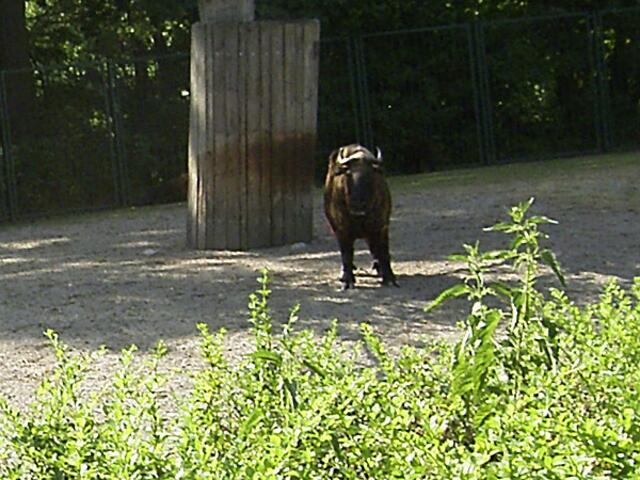 Tierpark Berlin-Friedrichsfelde