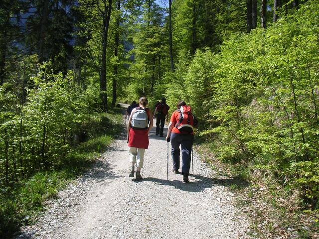 Noch geht nur leich bergauf, auf dem Weg zum Gipfel des Säulings