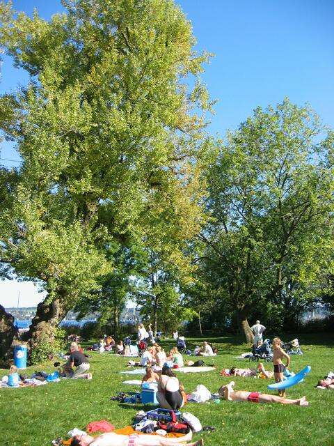 auch auf den Wiesen sonnte man sich