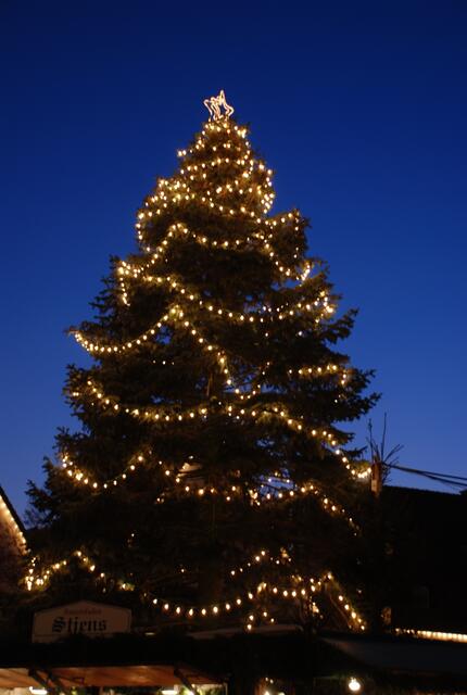 Steht in Rab ein Weihnachtsbaum? | Foto: Foto: Holger Schmidt/PIXELIO.DE