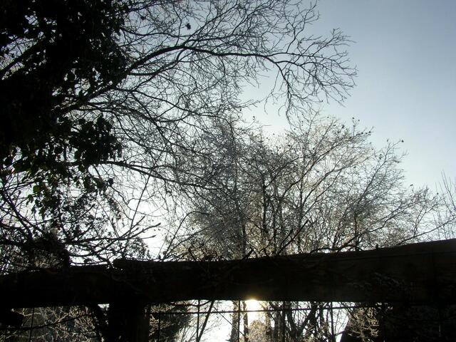 Winterlicher Weihnachtsspaziergang