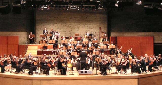 Das Symphonische Salonorchester Ingolstadt | Foto: Symphonisches Salonorchester Ingolstadt e.V.