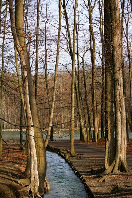 Stempflesee