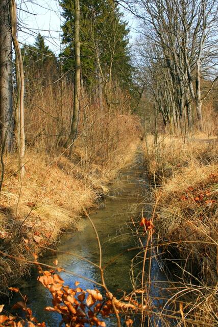 Ufer