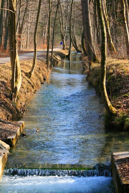 Bachlauf