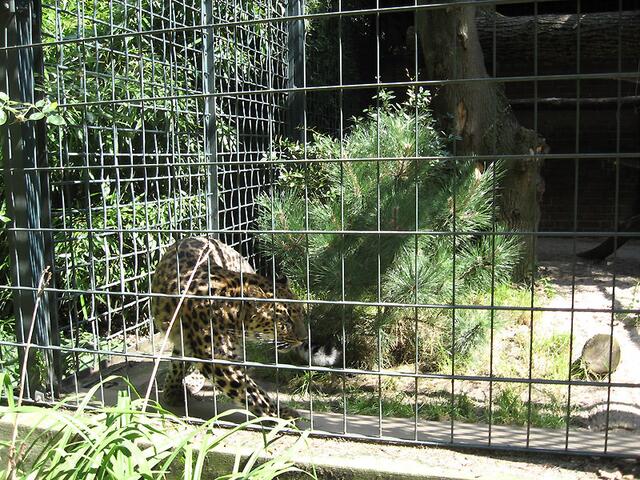 Zoo Leipzig