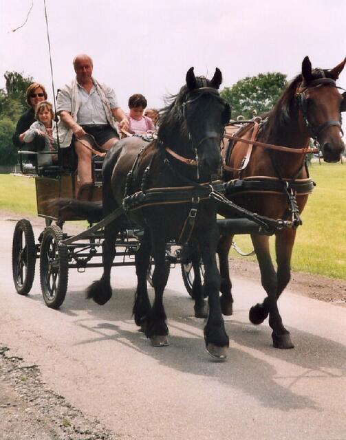 Kutschfahrt mit der Familie