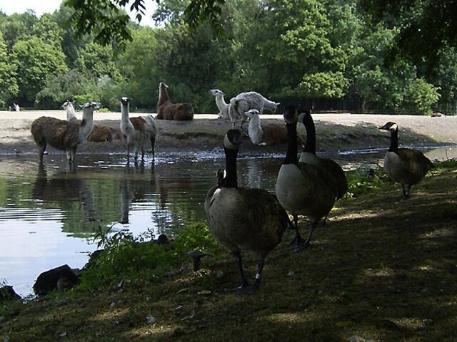 Tierpark Berlin-Friedrichsfelde