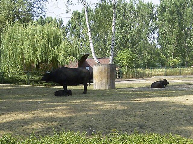 Tierpark Berlin-Friedrichsfelde