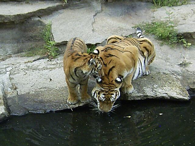 Tierpark Berlin-Friedrichsfelde