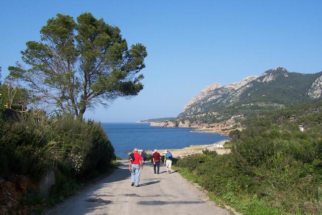 bei Puerto de Pollensa zuhause