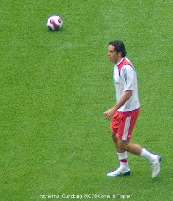 Luca Toni