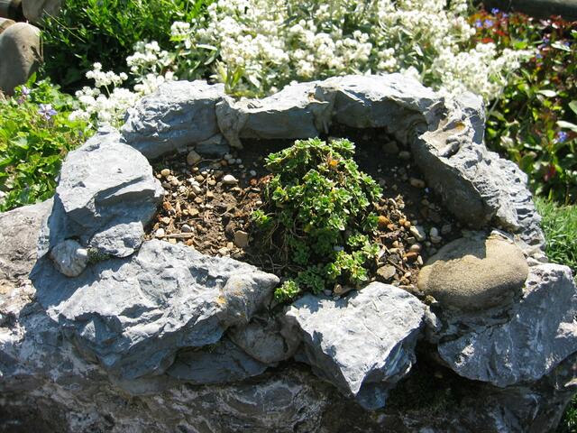 Der Umweltgarten