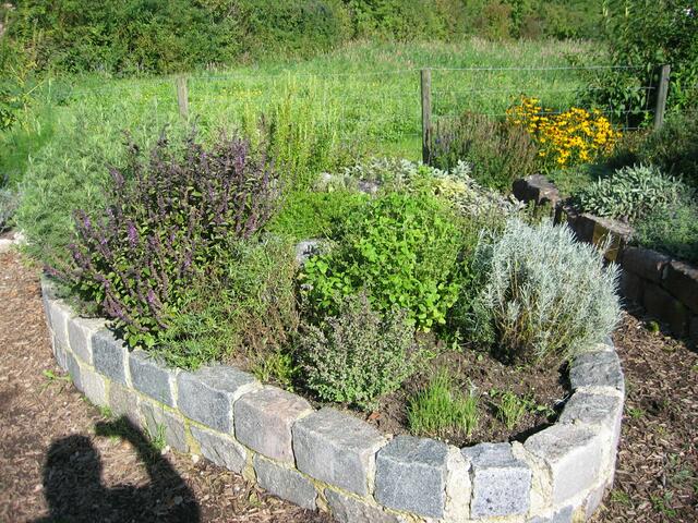 Der Umweltgarten