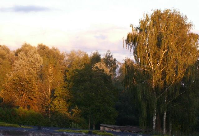 Abendstimmung über Unterschneitbach