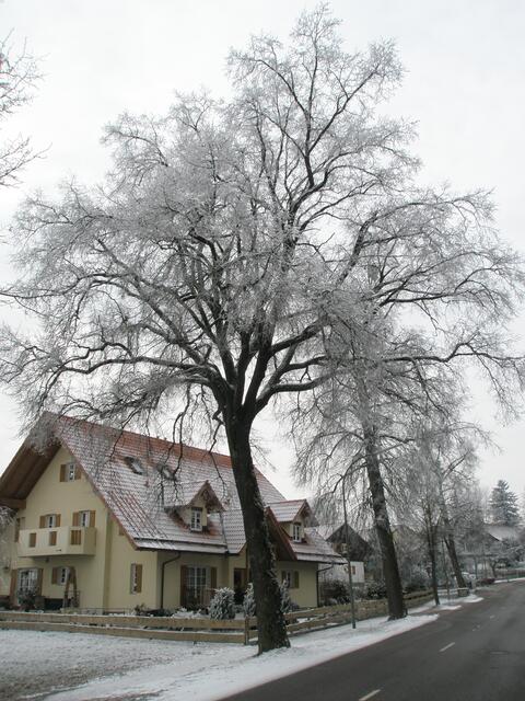 Spaziergang durch Greifenberg