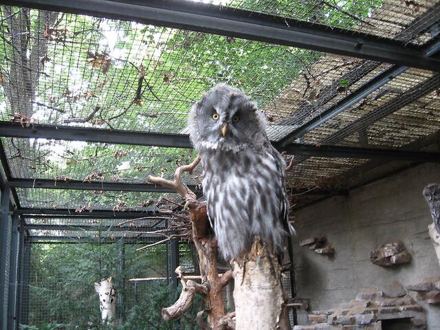 Zoo Leipzig