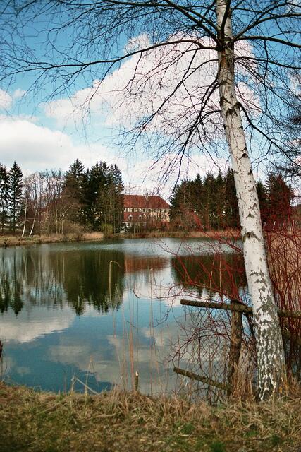 der Kloster-Weiher