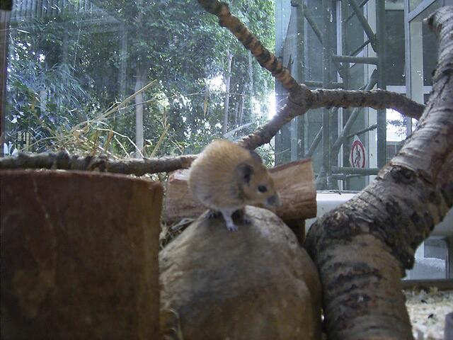 Tierpark Berlin-Friedrichsfelde