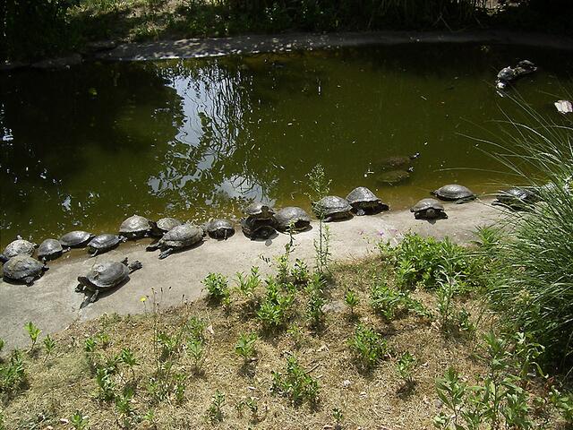 Tierpark Berlin-Friedrichsfelde