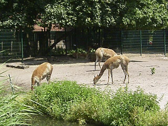 Tierpark Berlin-Friedrichsfelde