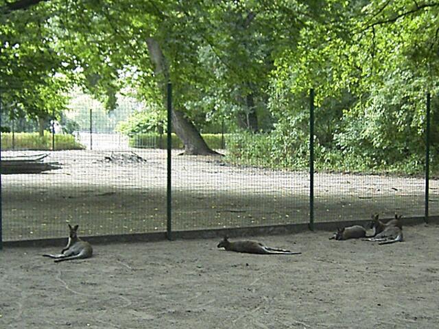 Tierpark Berlin-Friedrichsfelde