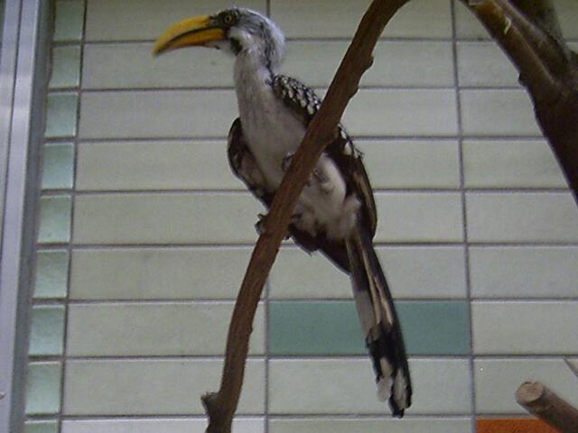 Tierpark Berlin-Friedrichsfelde