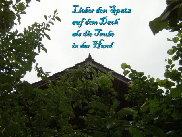 Das mit der Taube in der Hand....