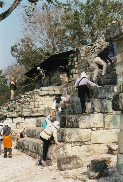 Die Japaner müssen überall hinauf