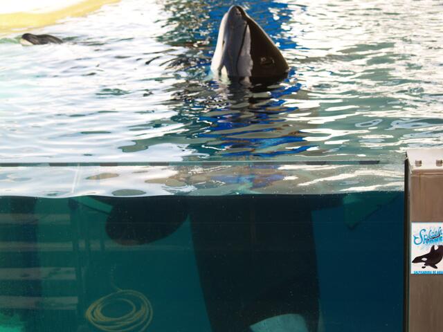 im Loro Parque
