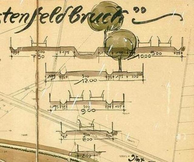 Die historische Planung der Eichenauer Straßen | Foto: Gemeindearchiv, historische Karte