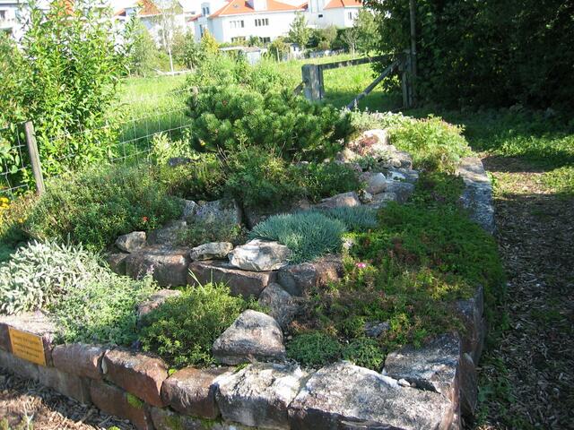 Der Umweltgarten