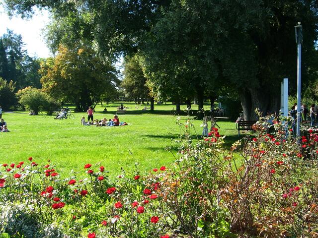im Uttinger Park saßen auch viele auf den Wiesen