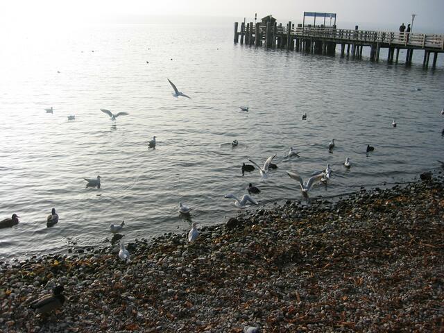 Herbststimmung in Herrsching am Ammersee