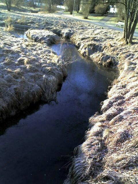 Das Blau des Baches zwischen Weiß und Grün