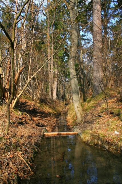 Bachlauf