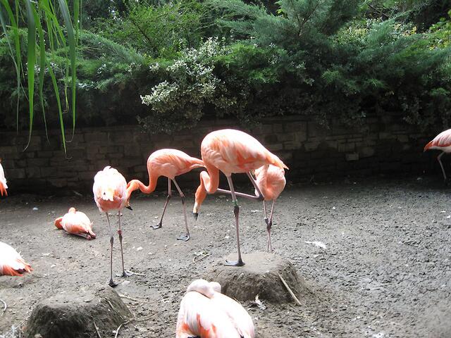 Zoo Leipzig