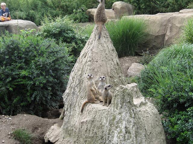 Zoo Leipzig