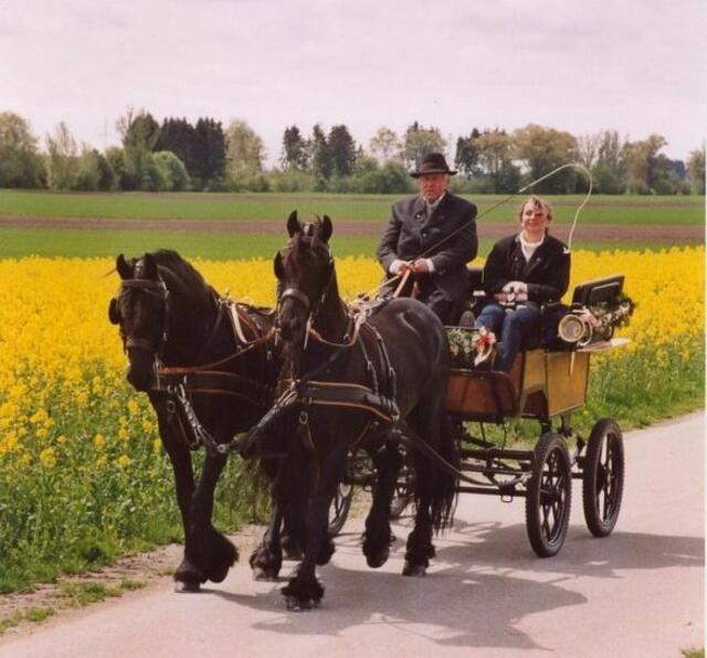 Kutschfahrt