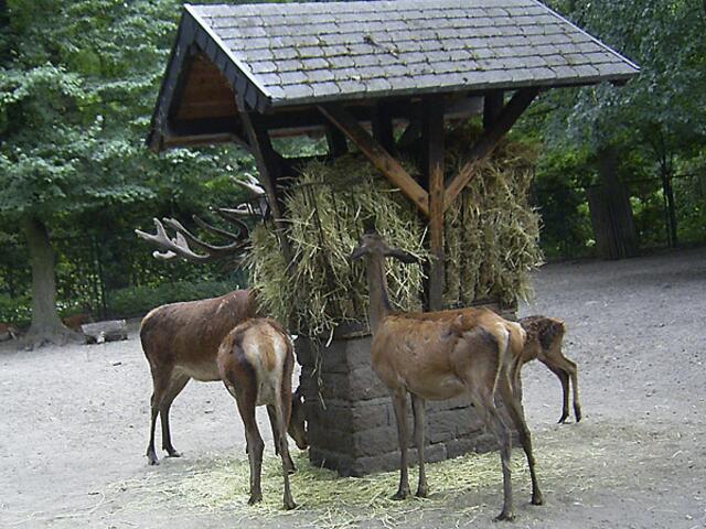 Tierpark Berlin-Friedrichsfelde