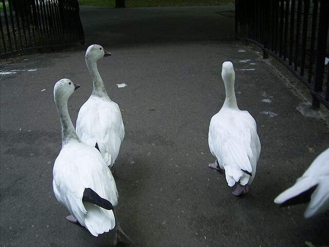 Tierpark Berlin-Friedrichsfelde