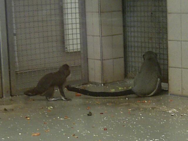 Tierpark Berlin-Friedrichsfelde