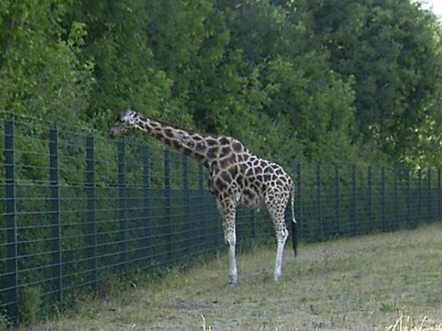 Tierpark Berlin-Friedrichsfelde