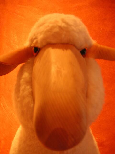 Frohe Ostern