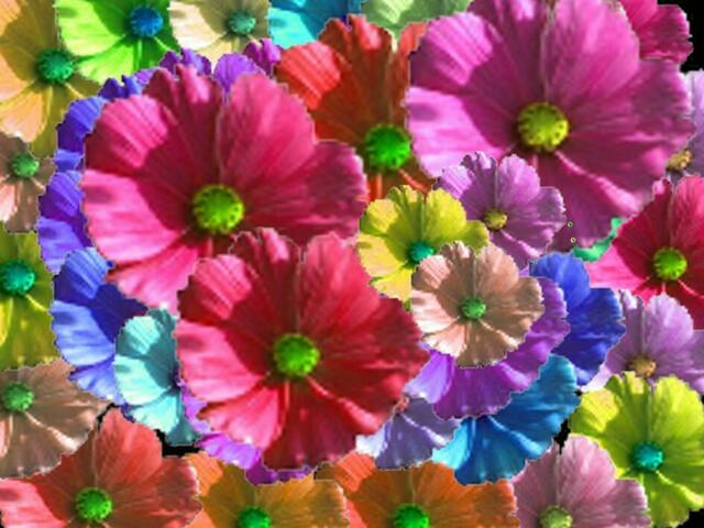 Märchen statt Blumen