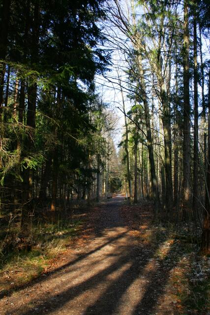 Wege