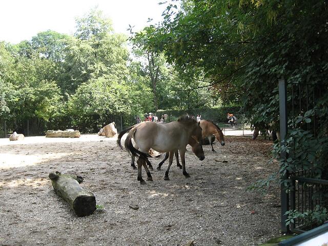 Zoo Leipzig