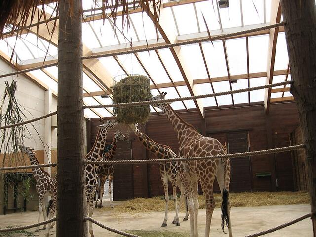 Zoo Leipzig